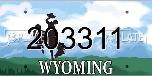 203311 Wyoming License Plate