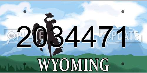 2034471 Wyoming License Plate