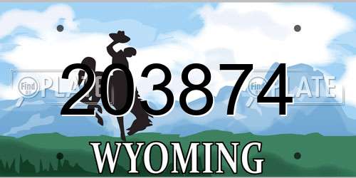203874 Wyoming License Plate