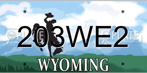 203WE2 Wyoming License Plate
