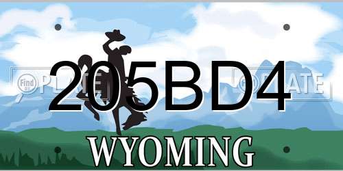 205BD4 Wyoming License Plate