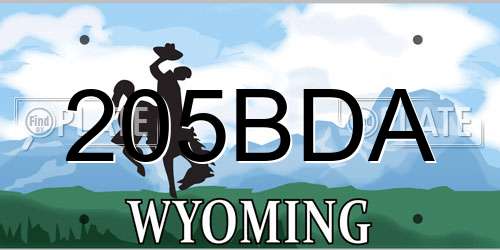 205BDA Wyoming License Plate