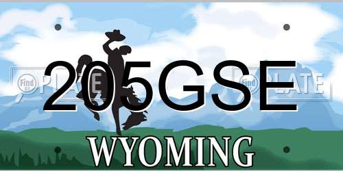 205GSE Wyoming License Plate