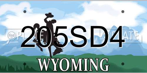 205SD4 Wyoming License Plate