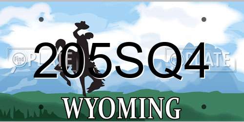 205SQ4 Wyoming License Plate