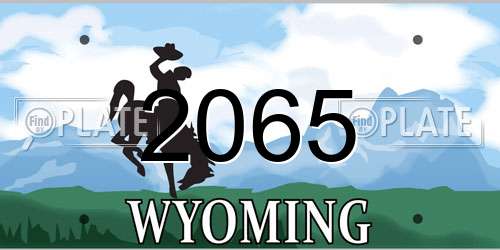 2065 Wyoming License Plate