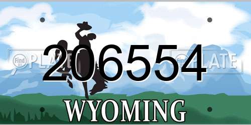 206554 Wyoming License Plate