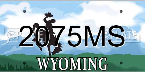 2075MS Wyoming License Plate