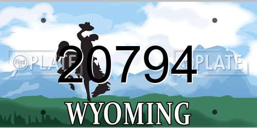 20794 Wyoming License Plate