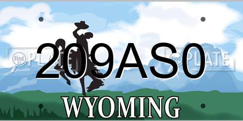 209AS0 Wyoming License Plate