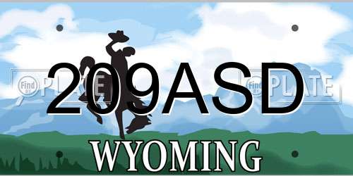 209ASD Wyoming License Plate