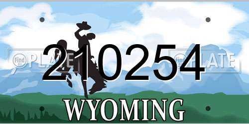 210254 Wyoming License Plate