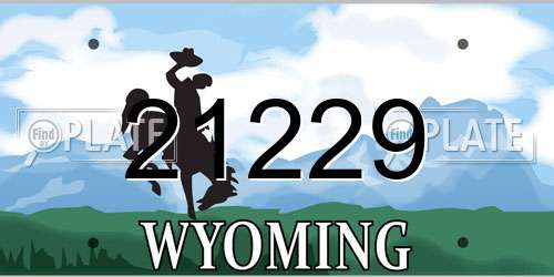 21229 Wyoming License Plate