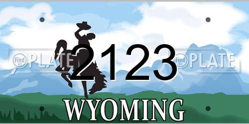 2123 Wyoming License Plate