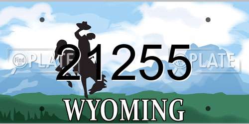 21255 Wyoming License Plate
