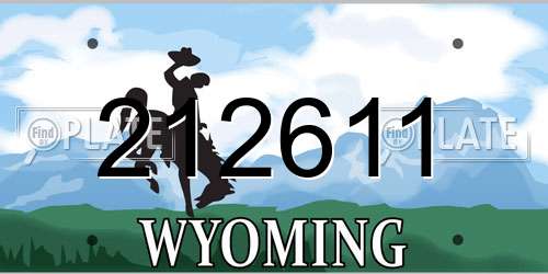 212611 Wyoming License Plate