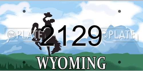 2129 Wyoming License Plate