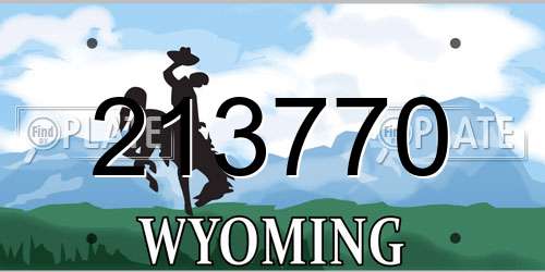 213770 Wyoming License Plate