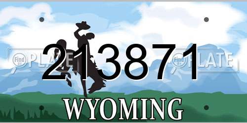 213871 Wyoming License Plate