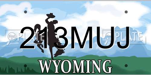 213MUJ Wyoming License Plate