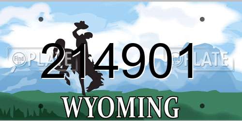 214901 Wyoming License Plate