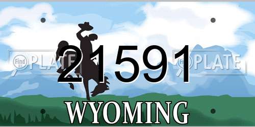 21591 Wyoming License Plate