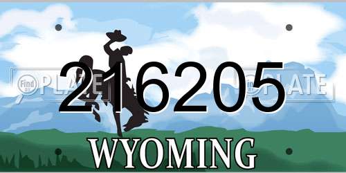 216205 Wyoming License Plate