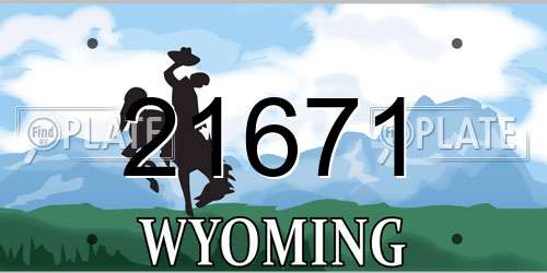 21671 Wyoming License Plate