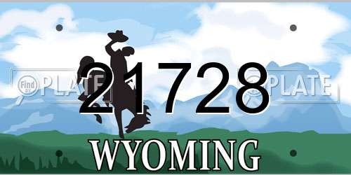 21728 Wyoming License Plate