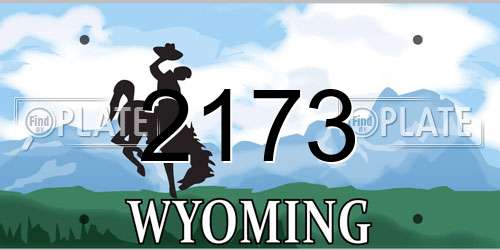 2173 Wyoming License Plate