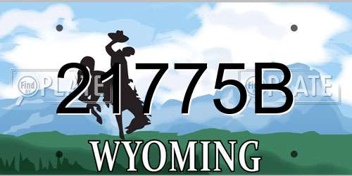 21775B Wyoming License Plate