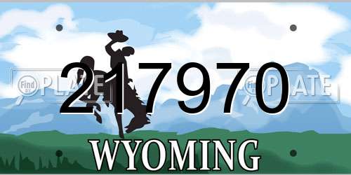 217970 Wyoming License Plate