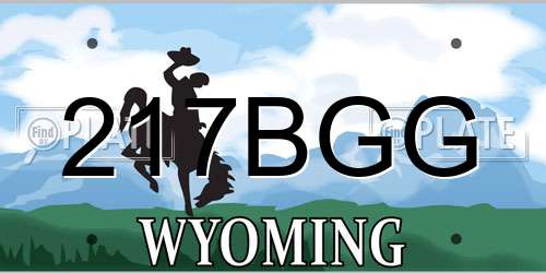 217BGG Wyoming License Plate