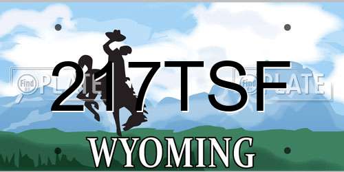 217TSF Wyoming License Plate