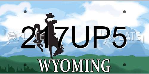 217UP5 Wyoming License Plate