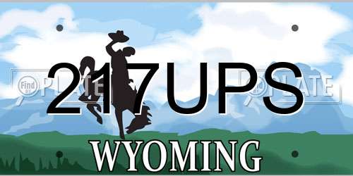 217UPS Wyoming License Plate