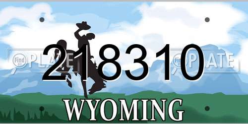 218310 Wyoming License Plate