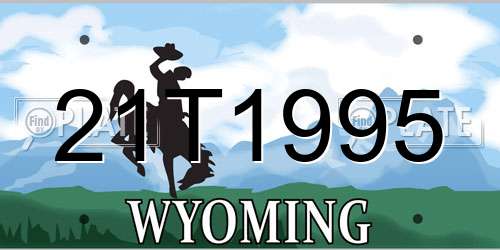 21T1995 Wyoming License Plate