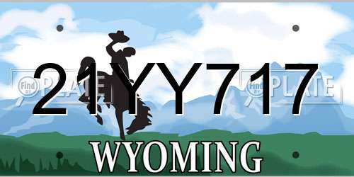 21YY717 Wyoming License Plate
