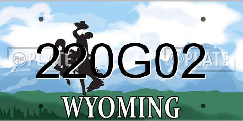 220G02 Wyoming License Plate