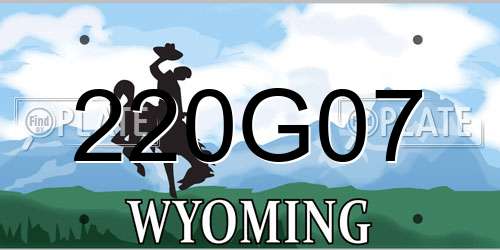 220G07 Wyoming License Plate