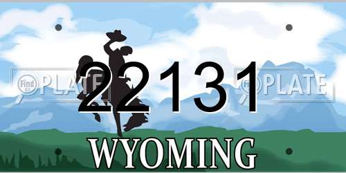 22131 Wyoming License Plate
