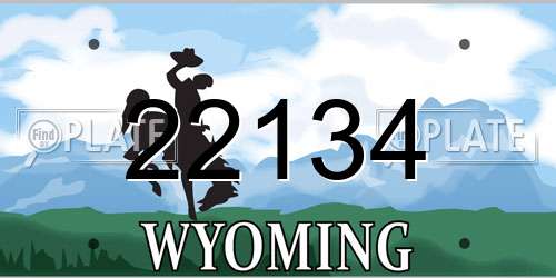 22134 Wyoming License Plate