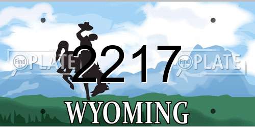 2217 Wyoming License Plate