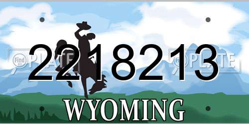 2218213 Wyoming License Plate