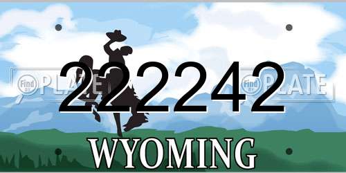 222242 Wyoming License Plate