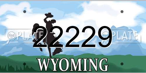 22229 Wyoming License Plate
