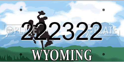222322 Wyoming License Plate