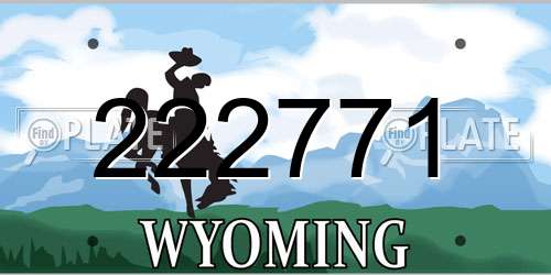 222771 Wyoming License Plate