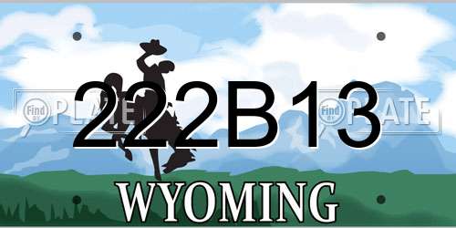 222B13 Wyoming License Plate